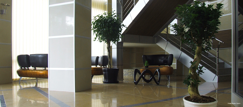 Фото Hotel Zeder Garni