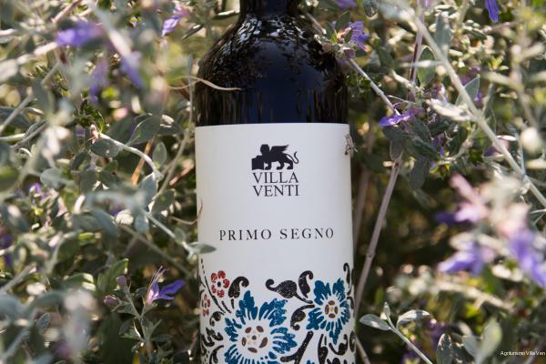 Фото Villa Venti