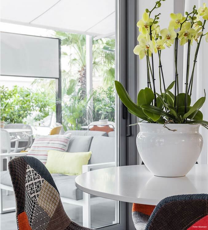 Фото Hotel Madison