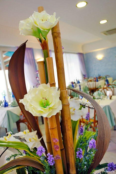 Фото Hotel Cadiz