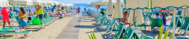 Фото Hotel Butterfly