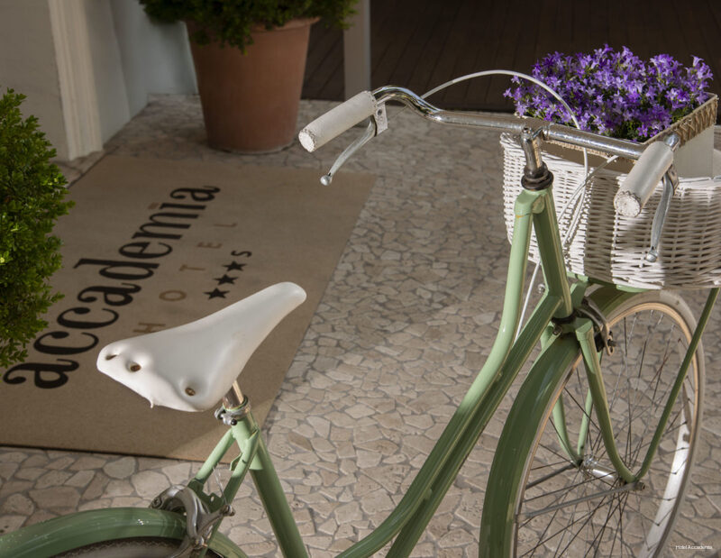 Фото Accademia Rimini