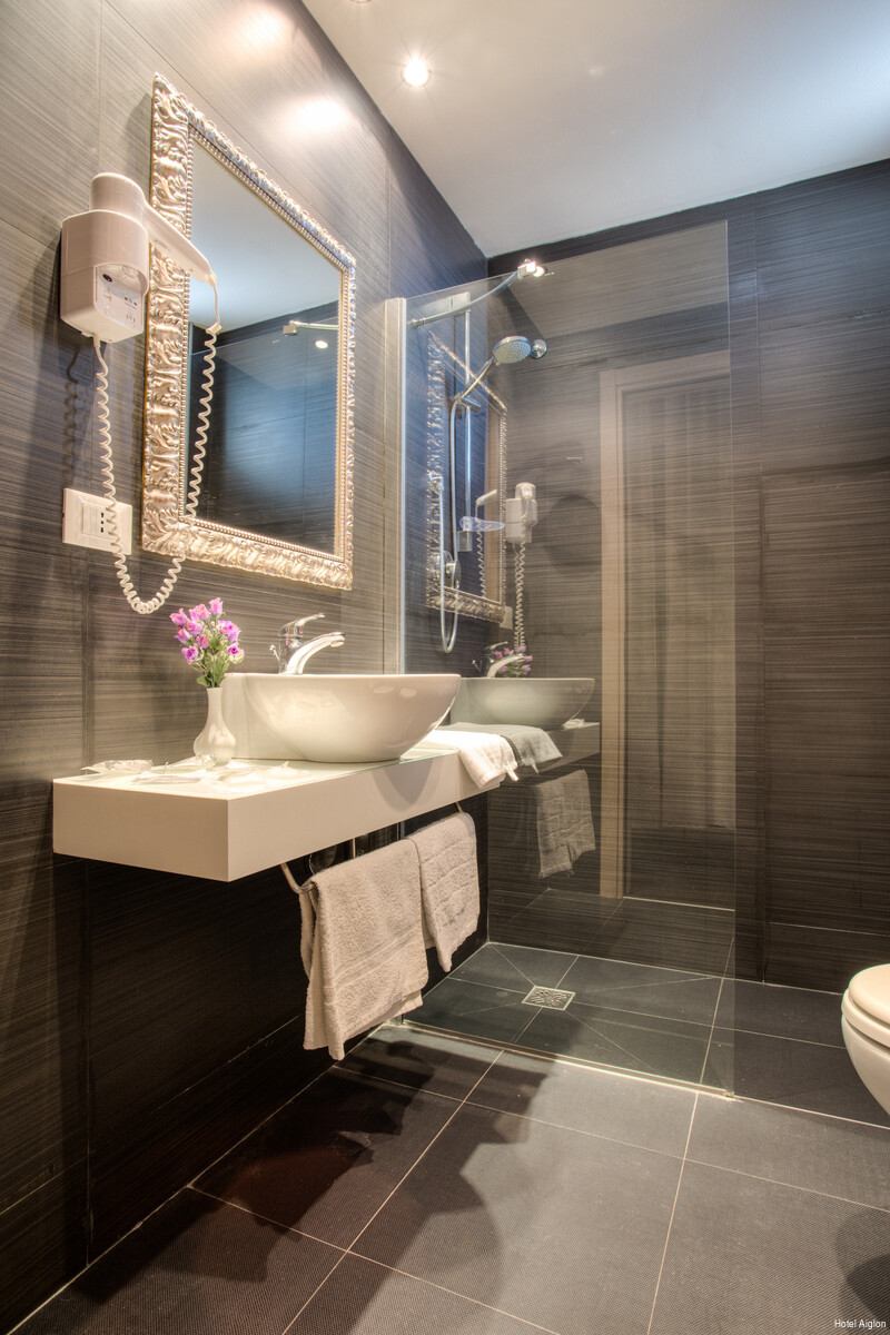 Фото Hotel Aiglon