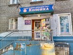 Kopeyka (Profsoyuznaya ulitsa, 4), tienda de productos