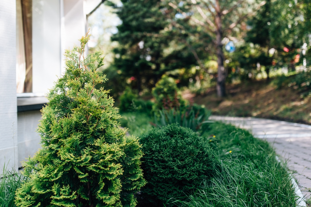 Фото Солнце