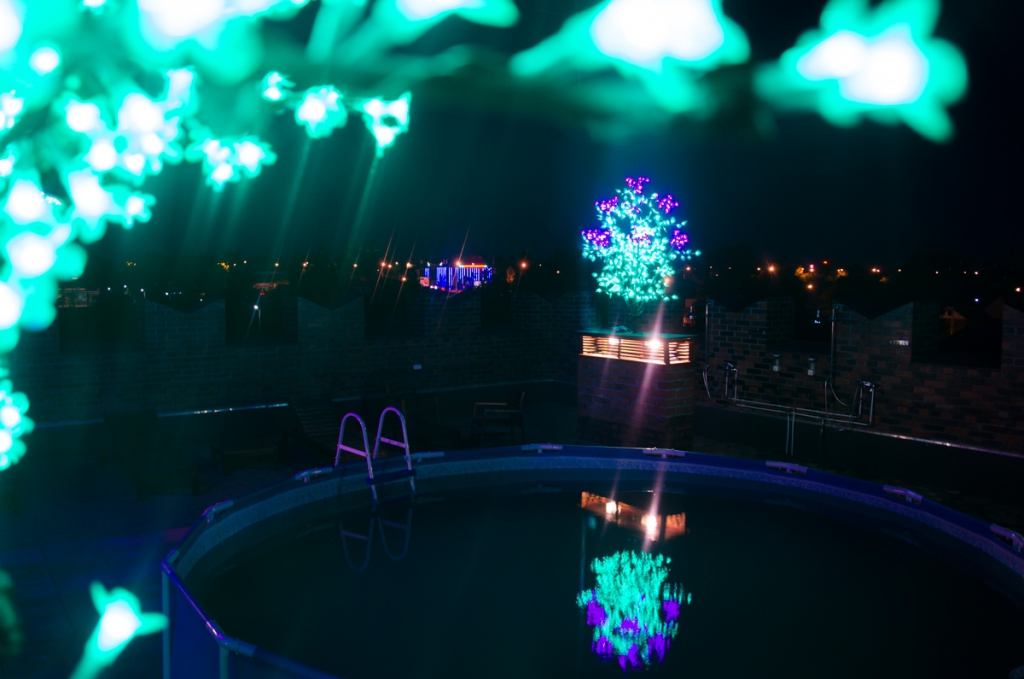 Фото Happy family