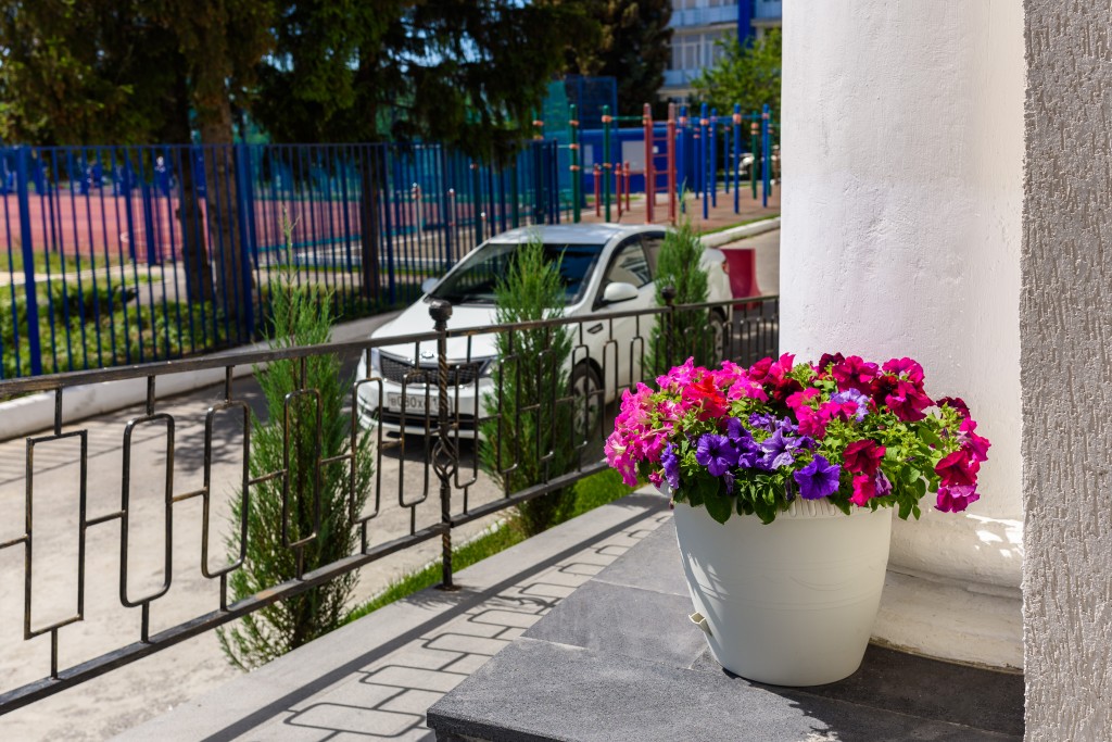 Фото Волга-Волга