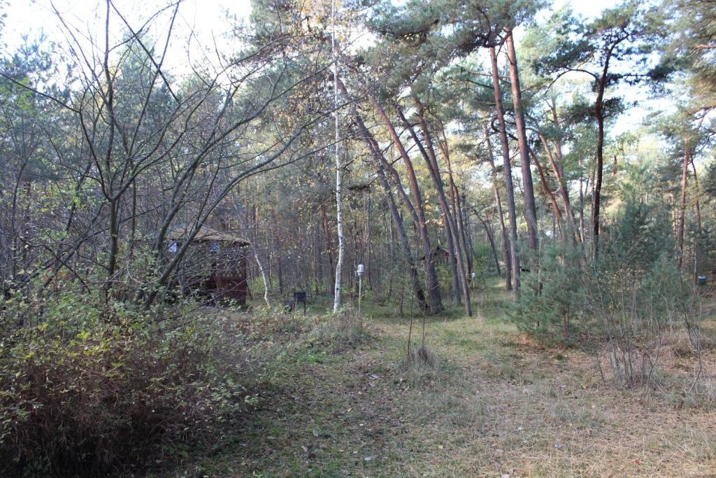 Фото Дом рыболова