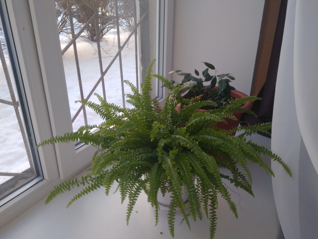 Фото У Политехнической