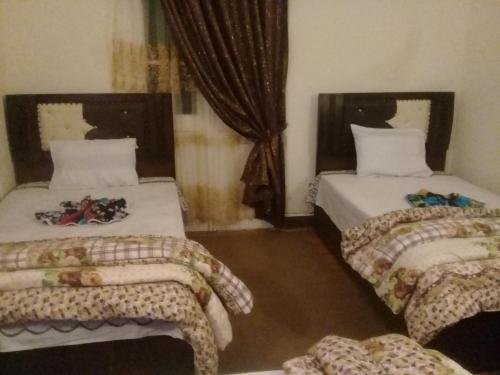 Фото Nile plaza hostel