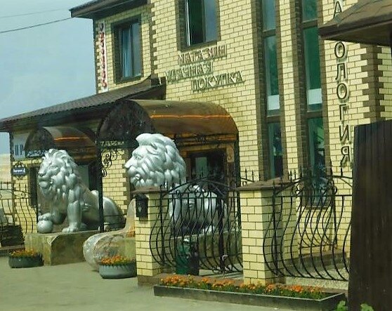 ЭстетикЛайф