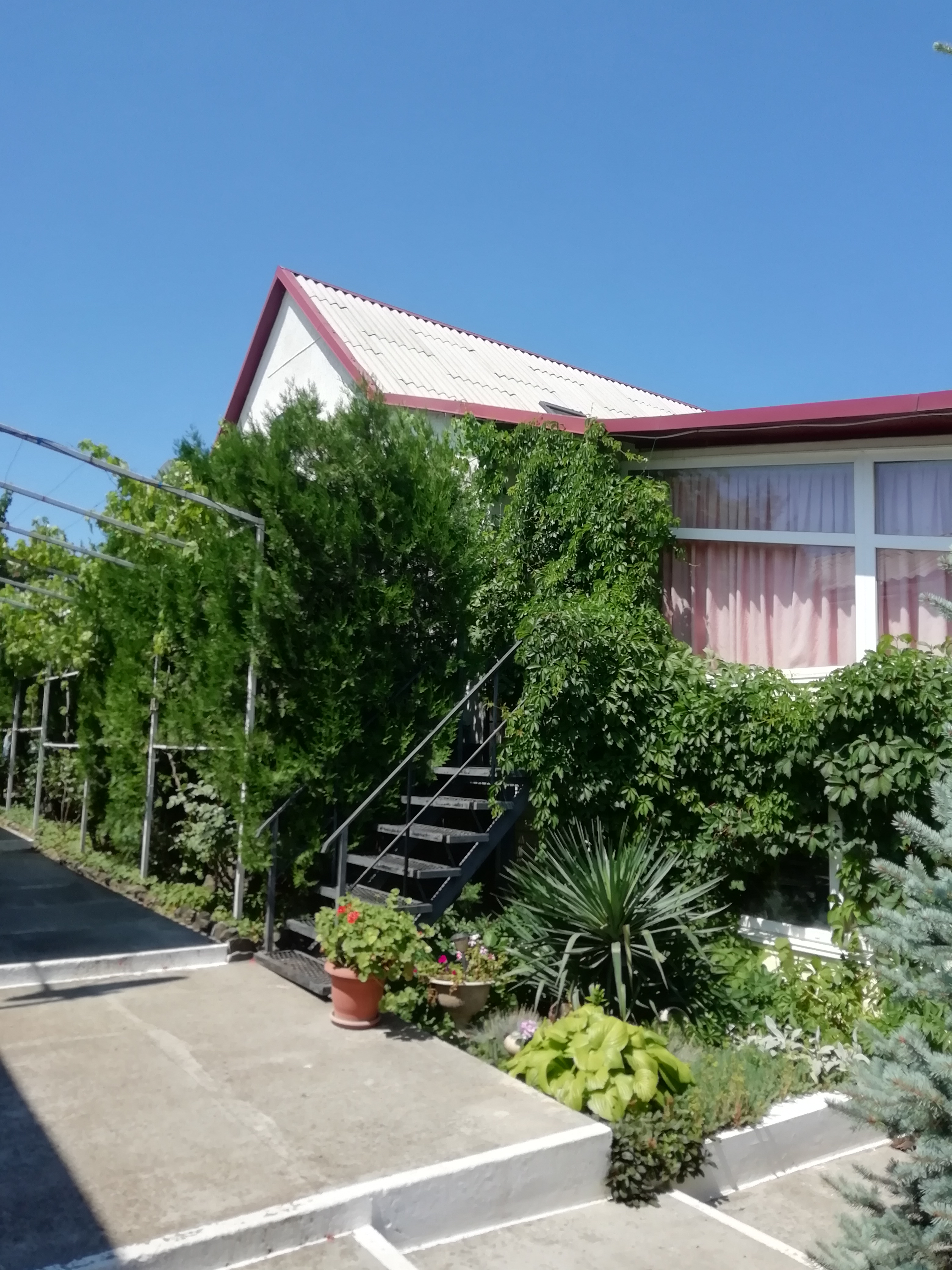 Фото Лукулл