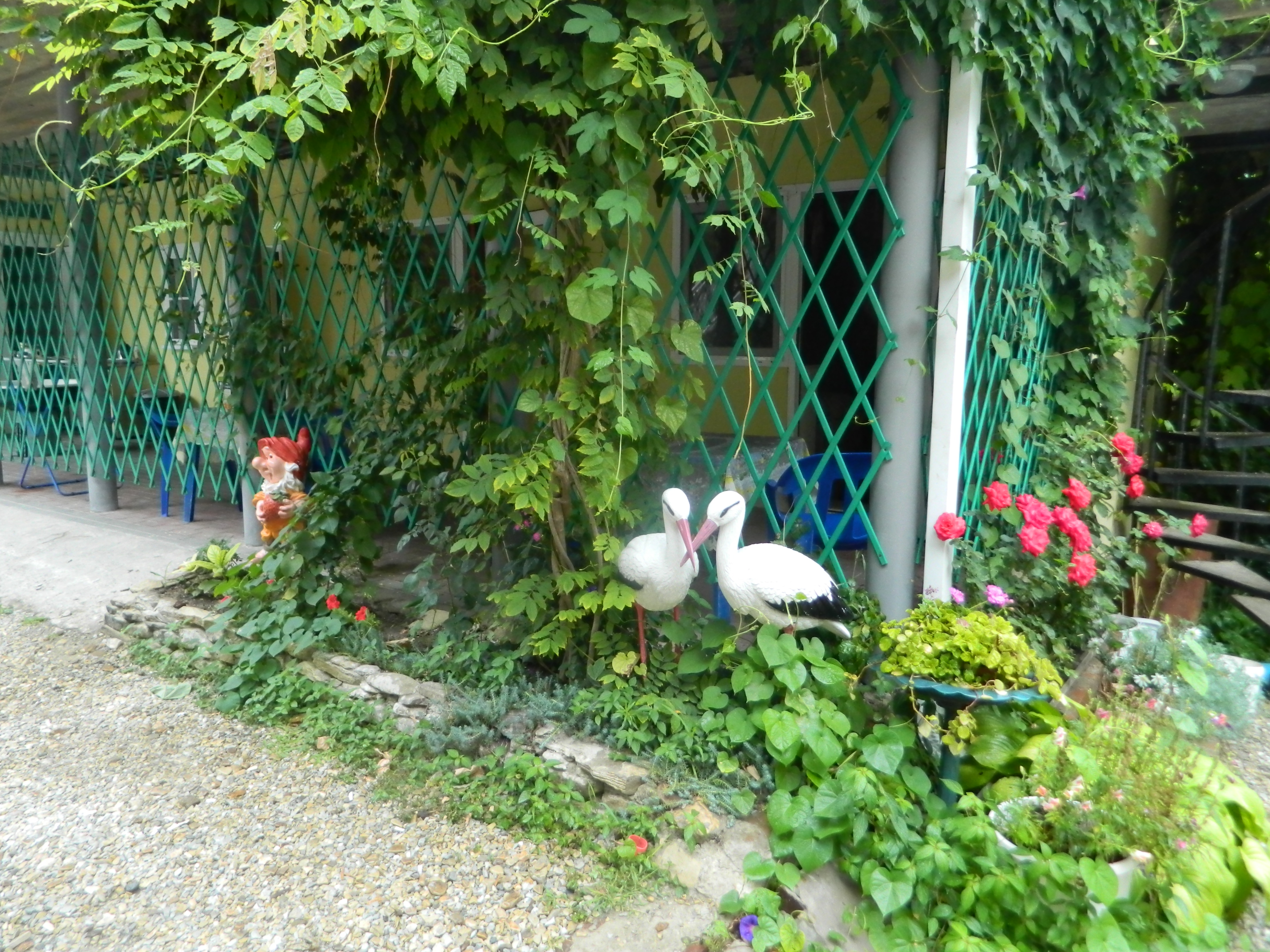 Фото Гостевой дом Аруна