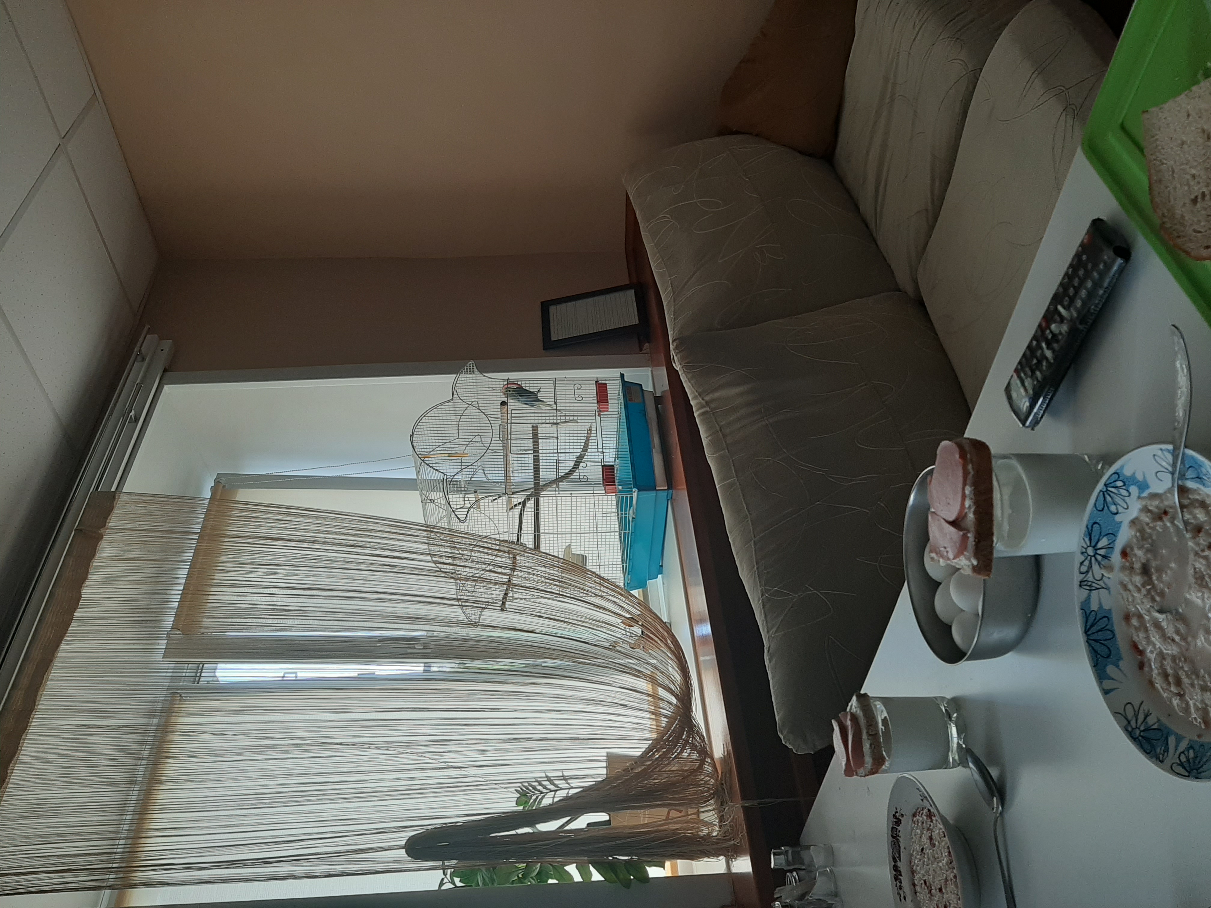 Фото Авангард