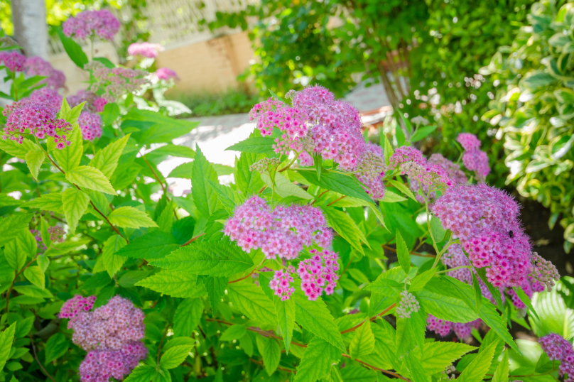 Фото Любимая