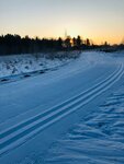 Cross-country skiing tracks (Molodyozhnaya Street, 27), community organization