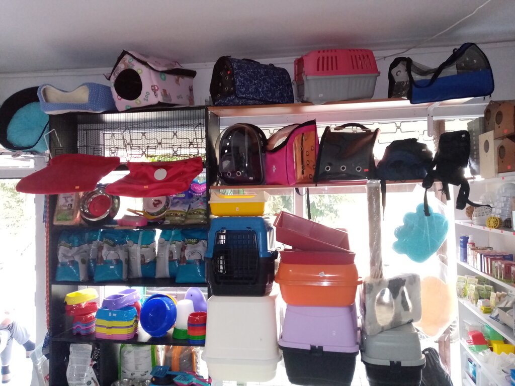 Kahraman Akvaryum Pet Shop, Gümüşpala Mah., Mesut Sok., No8/A