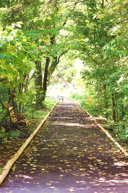 Фото Седанка Парк