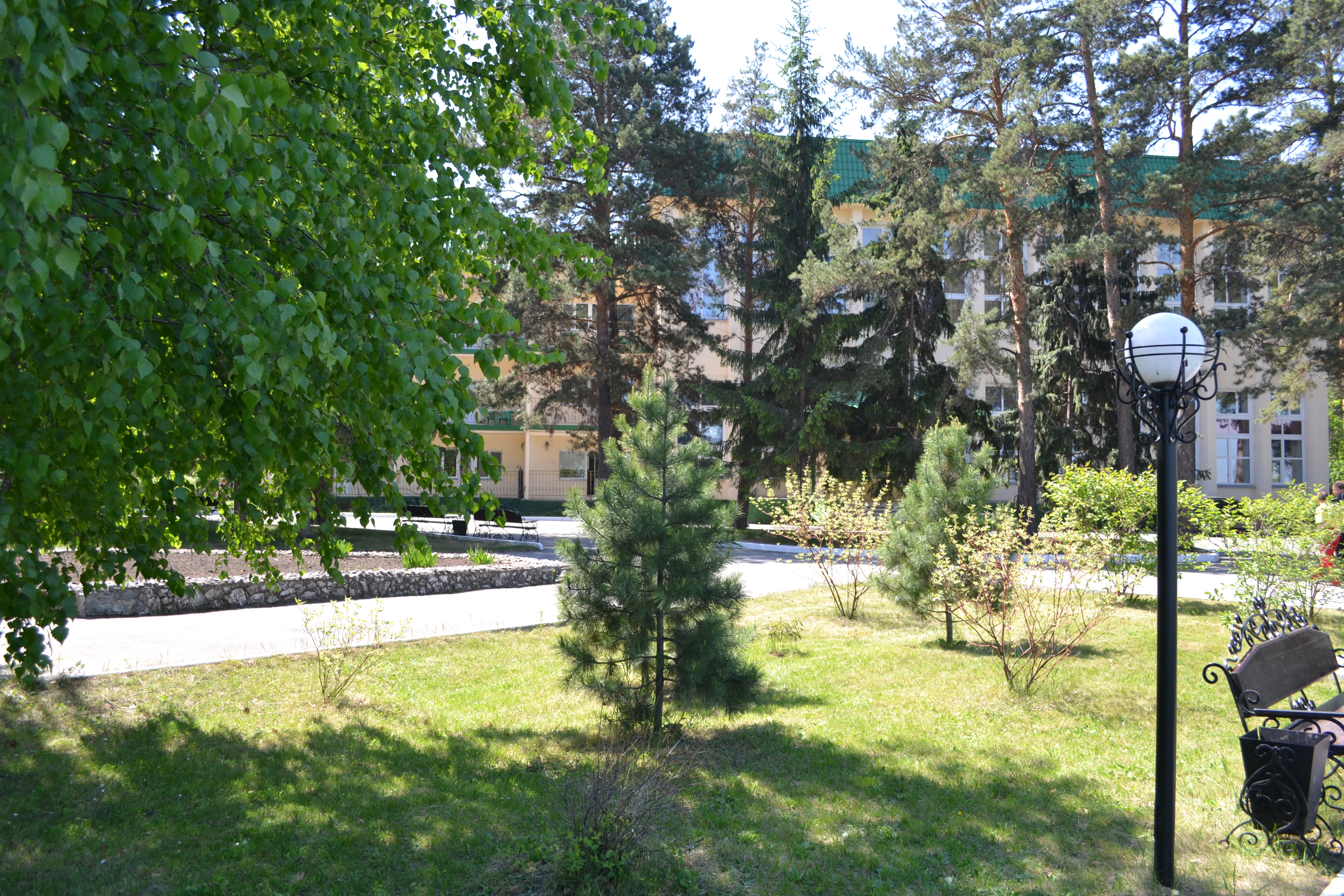 Фото Лесная сказка