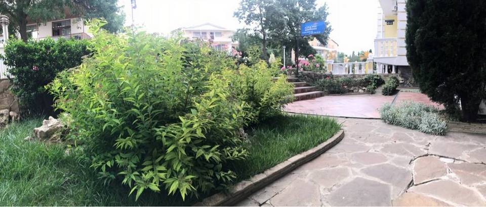 Фото Лазурный