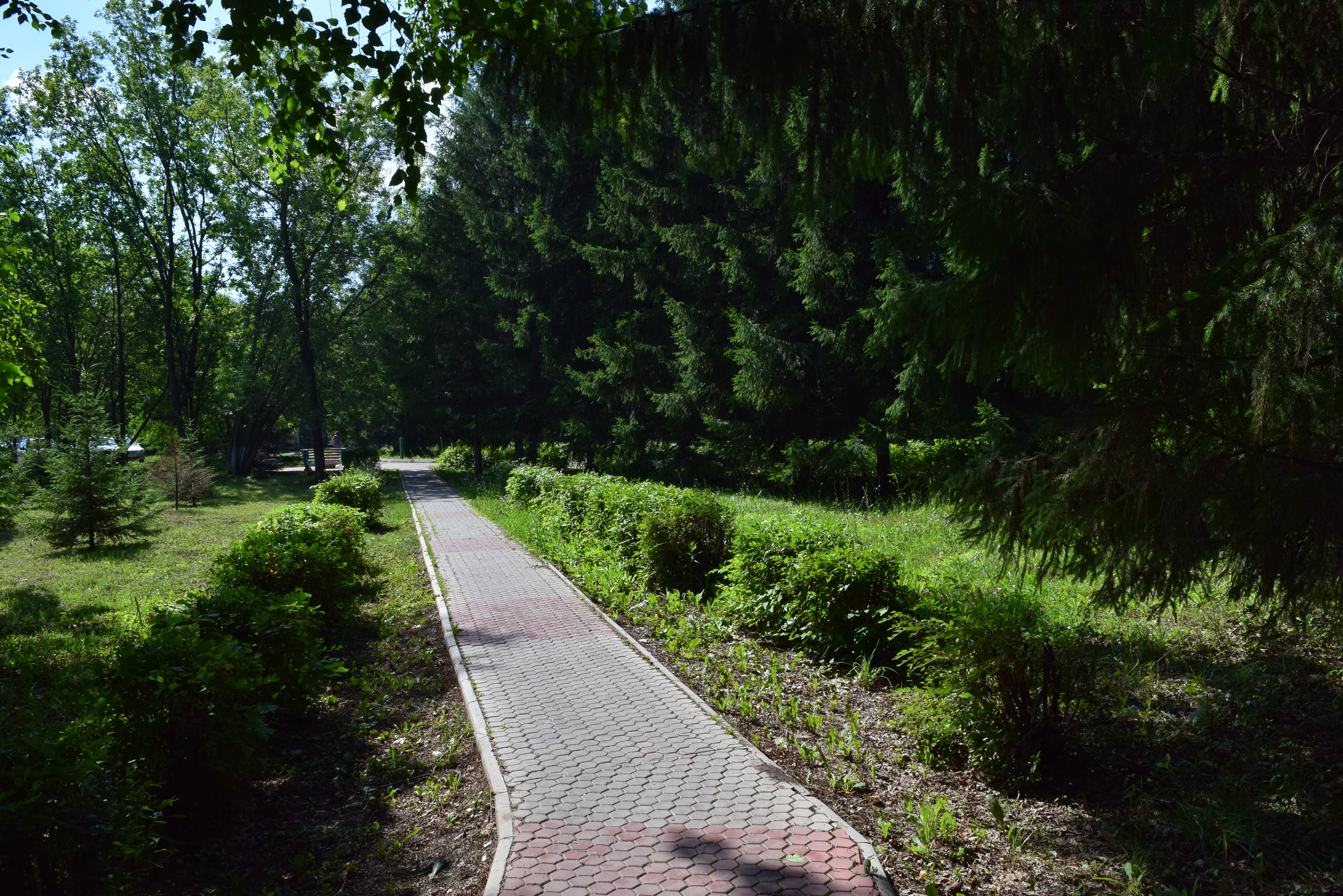 Фото Жемчужина