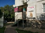Гламурный кот (Kopylova Street, 66), pet shop