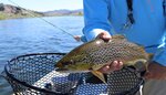 Osetr82 (село Ходжа Сала, улица Челеби, 2В), fisheries, fish farming