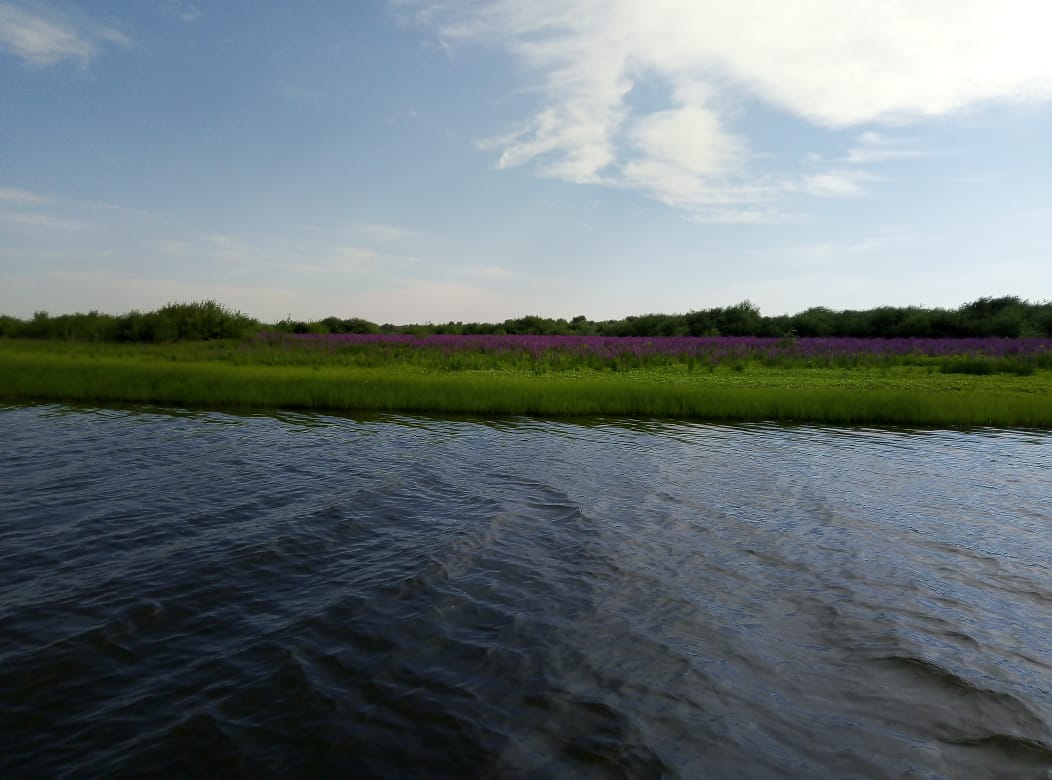 Фото Усадьба Рассвет