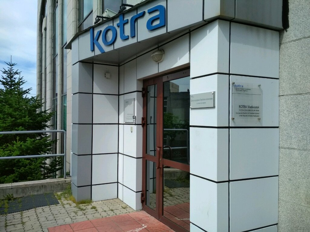 Прямая Корея Владивосток Интернет Магазин Владивосток