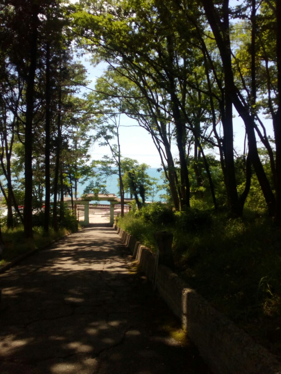 Фото Галина-чайка