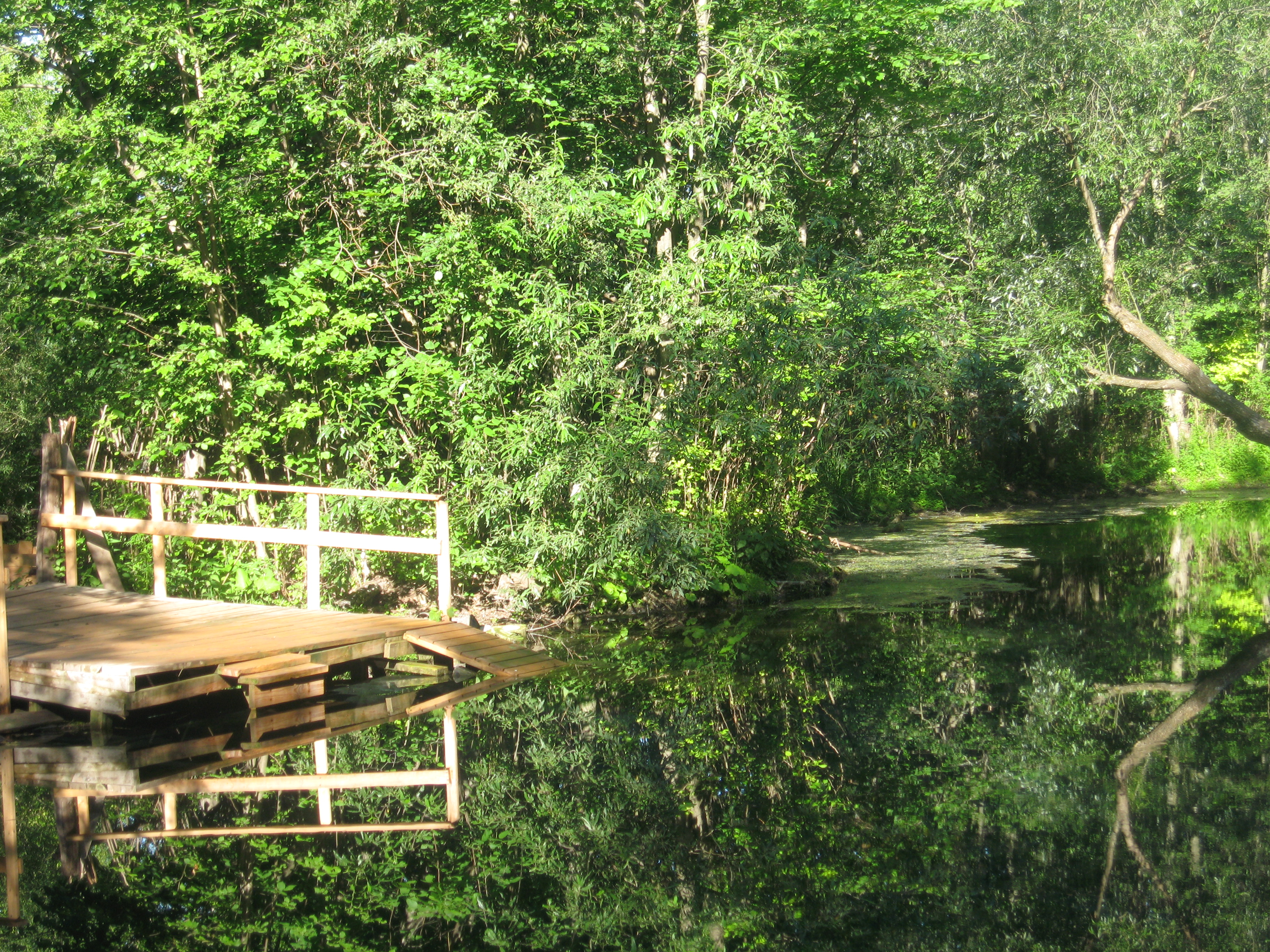 Фото Крутушка