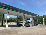 Clever (Altai Territory, Pervomayskiy rayon, R-256 Chuyskiy trakt, 211-y kilometr, 210), gas station