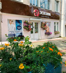 Эстетика (Kalinina Street, 81), cosmetology