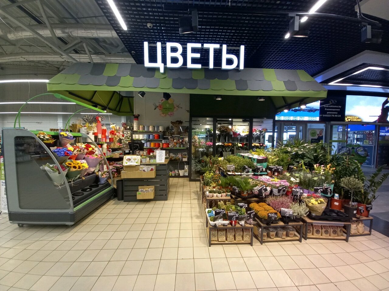 Билд ул гагарина 79 фото
