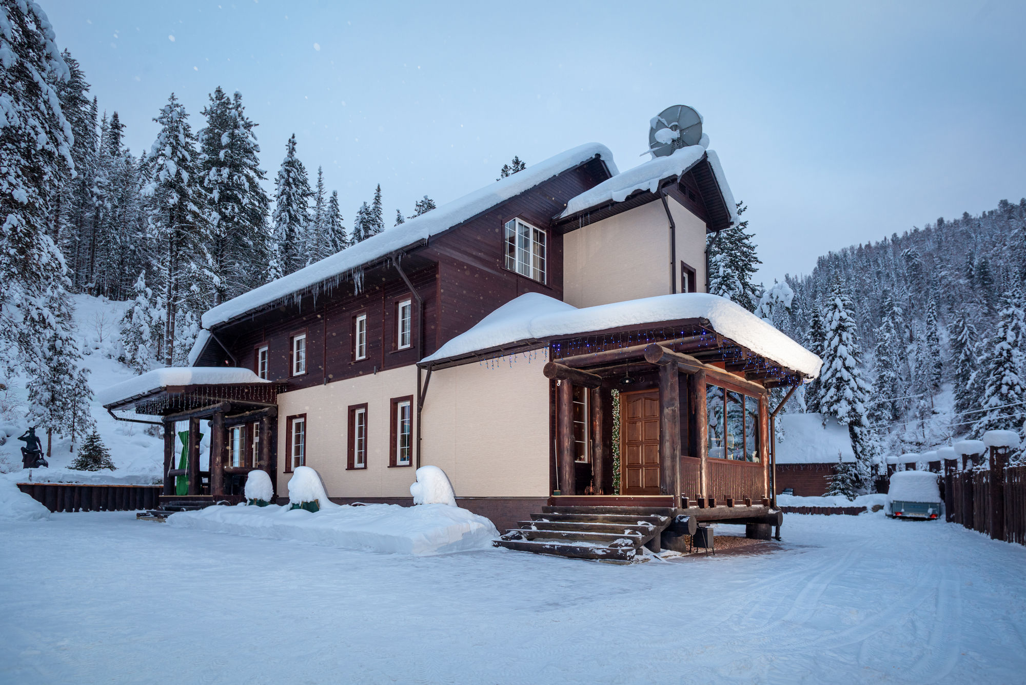 Фото Леонтоподиум