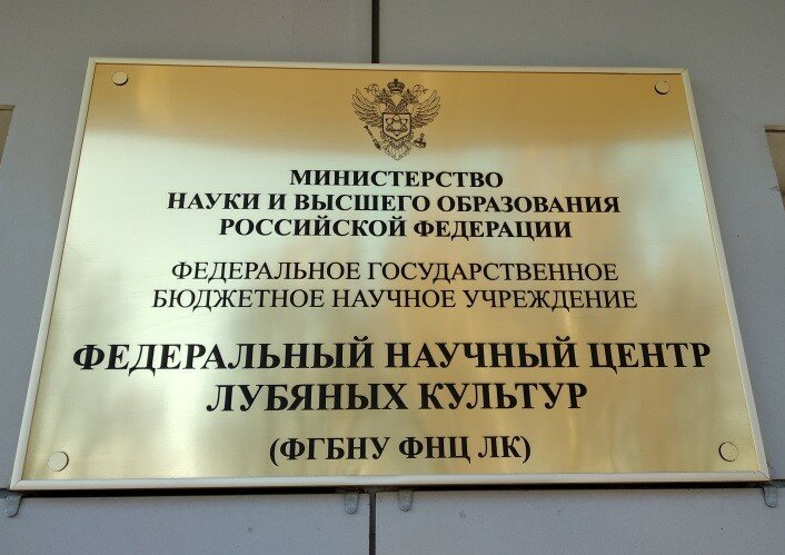 Проекты федеральное государственное бюджетное научное учреждение