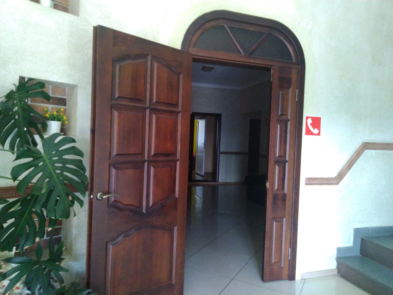 Фото Медуза