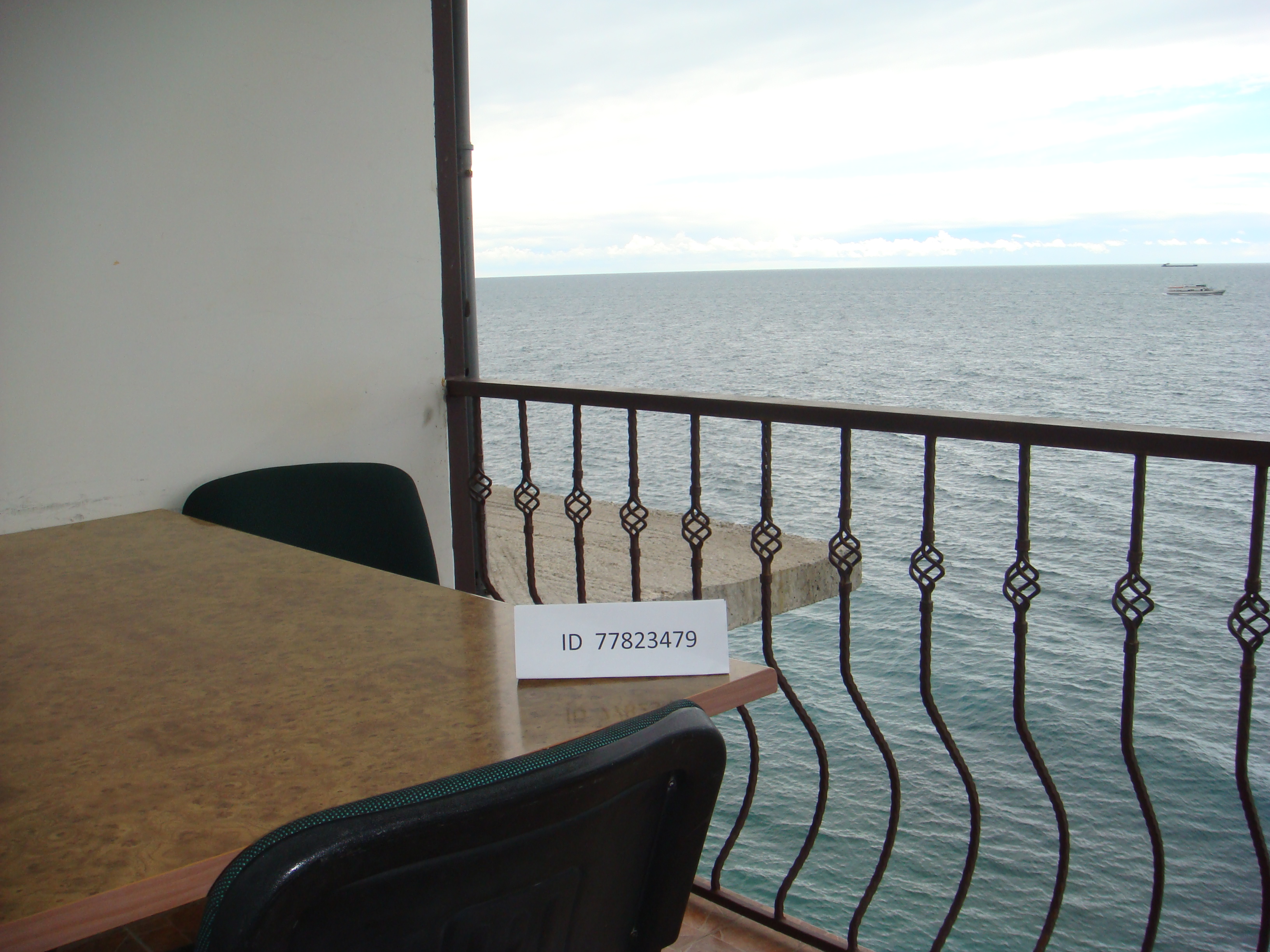 Фото Кокос эллинг