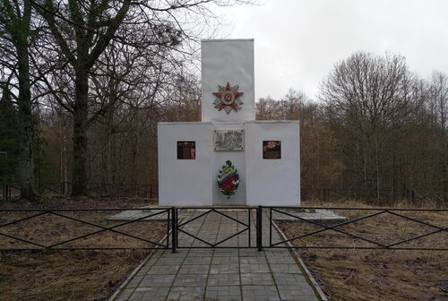 Landmark, attraction Кладбище партизанской бригады А.Ф. Фёдорова, Bryansk Oblast, photo