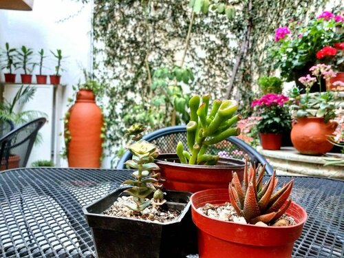 Гостиница Hostal las Americas