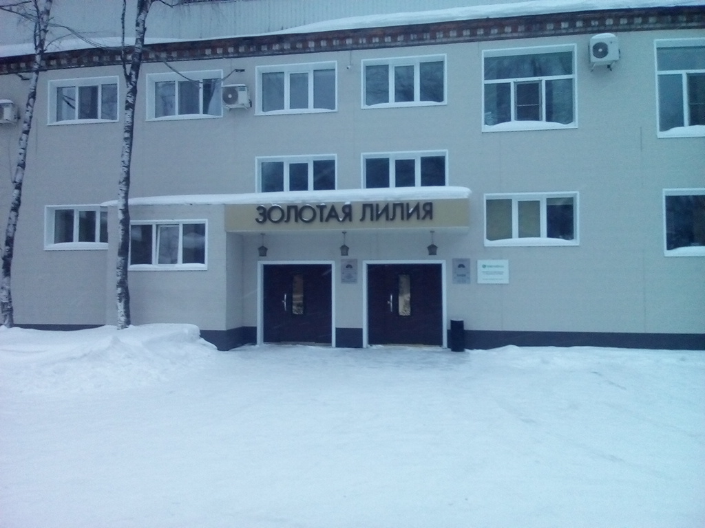 Фото Золотая Лилия