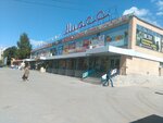 Magazin sumok i chemodanov (prospekt Avtozavodtsev, 57), bags and suitcases store