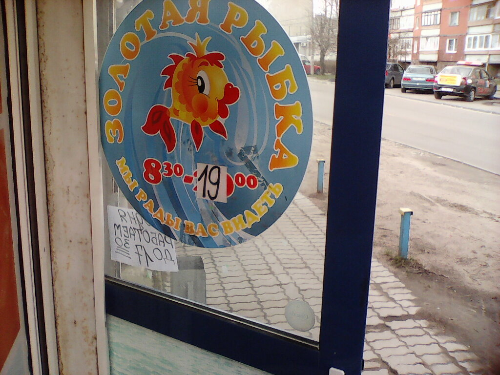 Магазин Золотая Рыбка Калининград Адреса