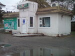 Венера (zheleznodorozhnaya stantsiya Izdrevaya, Vokzalnaya ulitsa, 3Вк1), grocery