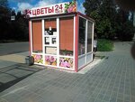 Tsvety (Repnikova Street, 17), flower shop