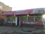 Magazin produktov Severny (ulitsa Romanenko, 1), grocery