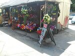 Ritualnyye prinadlezhnosti (Холодногірська вулиця, 2А) ، لوازم الجنازات