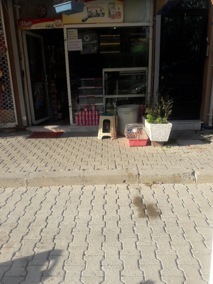 Pet shop Ayyıldız Akvaryum, Konak, photo