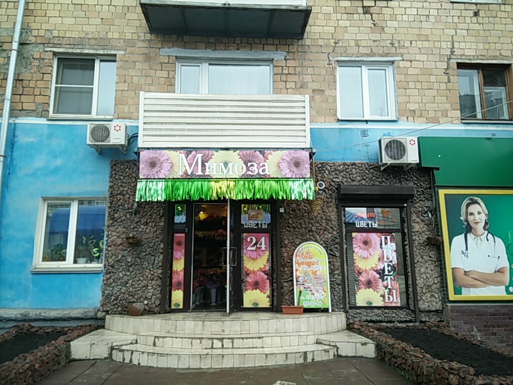 Мимоза Магазин Цветов