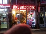 Akdeniz Cicek (İstanbul, Uskudar, Zeynep Kamil Mah., Harmanlık Sok., 24A), flower shop